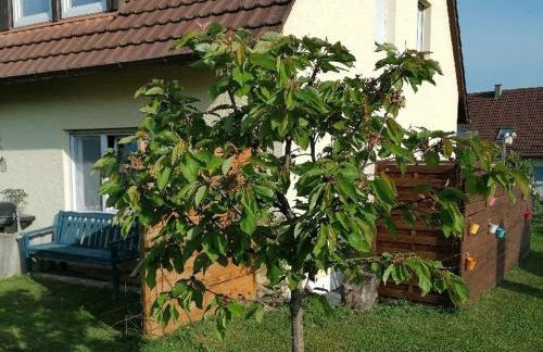 Ferienwohnung Kirsch-kern - Foto 14