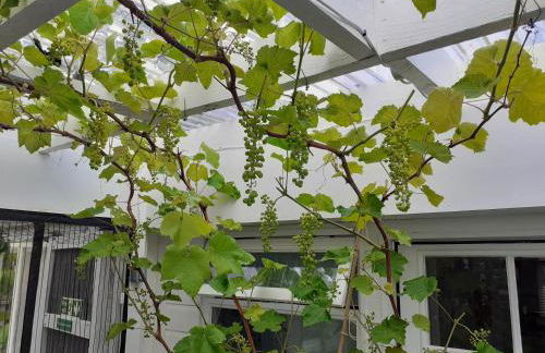 The Treehouse by Airlie - Foto 34