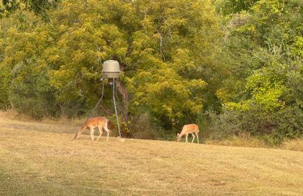 Gorgeous 10 Acre Estate POOL HOT TUB GAME ROOM - Foto 62