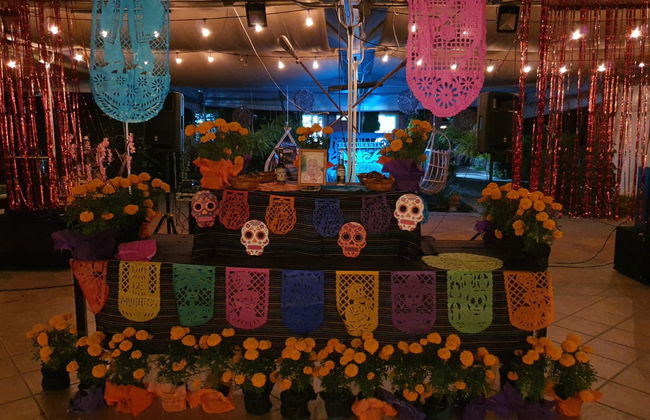 Tour del Día de Muertos por Xochimilco con cena - Foto 5