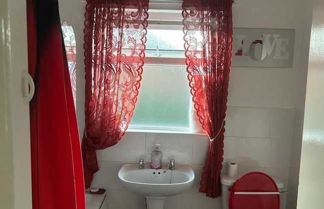 Skyline Self-Service - Foto 10