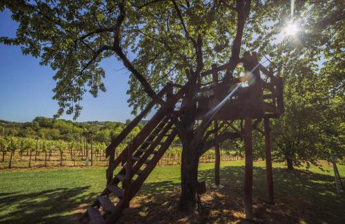 Bregec Rural House - Foto 36