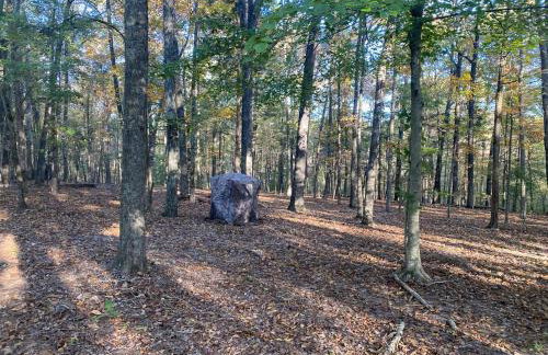 Quiet Forest Vacation home on a Private Road with Spacious Patios, Fire pit, Pet friendly and a Private pool - Foto 30