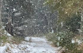 Villa Barka - Foto 57