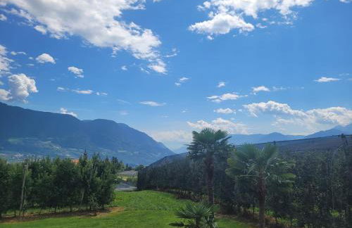 Platterhof - Foto 58