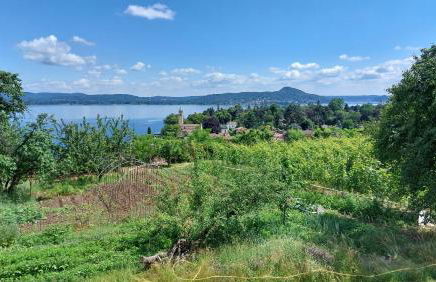 Anju d´Oro & Azzurro - Charming Apartments - Foto 25