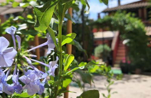 Daniel studio - Foto 13