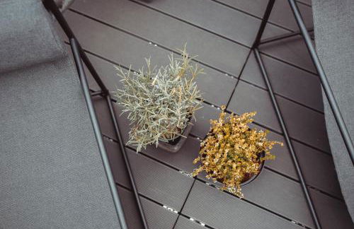 Exklusive Mosel-FeWo in Senheim - große Dachterrasse - Netflix - Waschmaschine - Foto 32