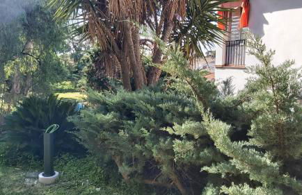 Interpares Swimmingpool by Del Parque Flats - Photo 49