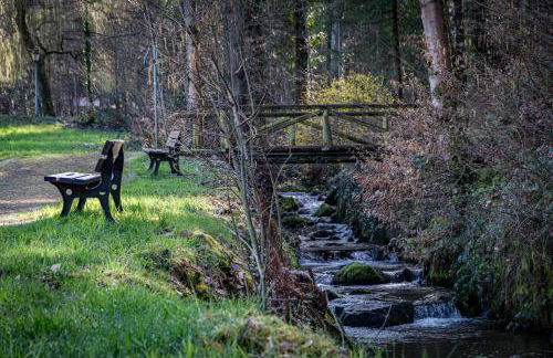 living TIMELESS - Adler Apartments Sasbachwalden - Foto 56