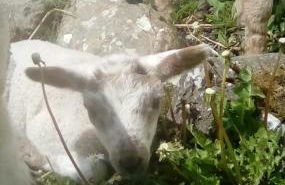 Scorrabrae Orphir Mainland Orkney South Shore Retreat - Photo 50