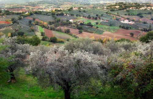 Vecchio Forno Casa Vacanze - Foto 42