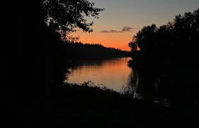 Blue Heron Sanctuary & Serene, river-front cottage - Foto 52