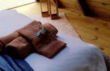 Sitio Lar da Terra - Foto 38