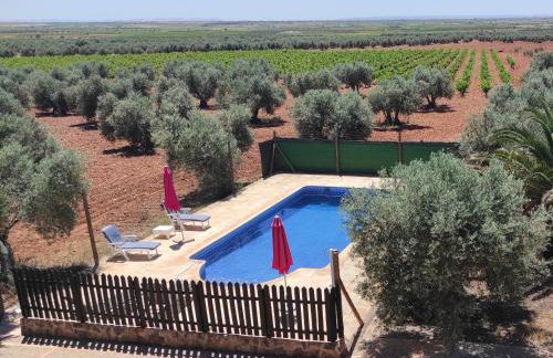 Casa Rural Entreolivos - Foto 2