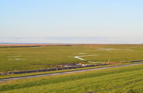 Deichkieker - Foto 25