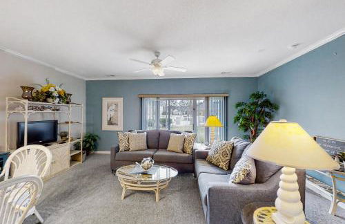 Scotch Broom E-104 - Foto 12