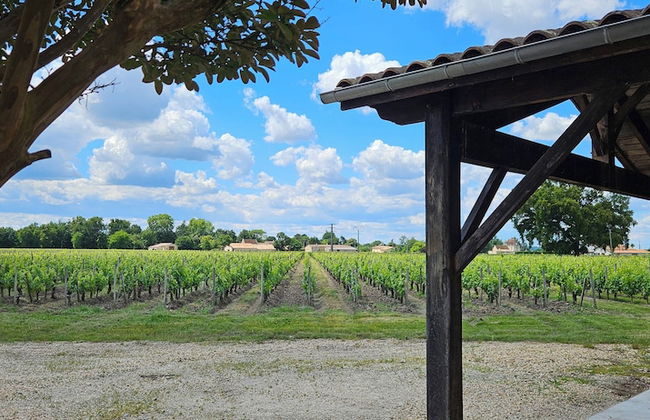 Château Touzinat - Foto 26