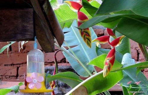 #casinhadasbananeiras - Foto 64