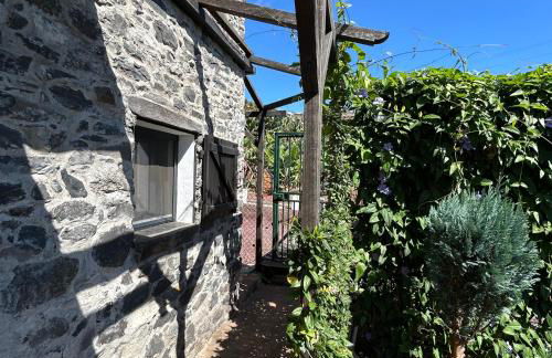 As Casinhas da Madeira - Cosy Stone Cottage in a subtropical garden - Foto 22