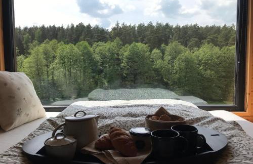 Na skraju gaju - Foto 5