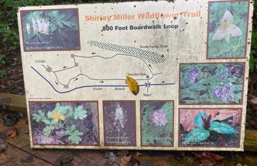 Blue Hole at Pigeon Mtn Wildlife Mgmt Area - Foto 28