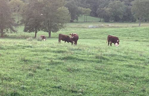 Farm living at it's best! - Foto 62