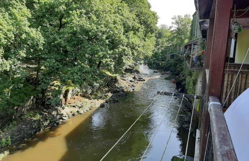 Selah Teifi spectacular river view with games room - Photo 11