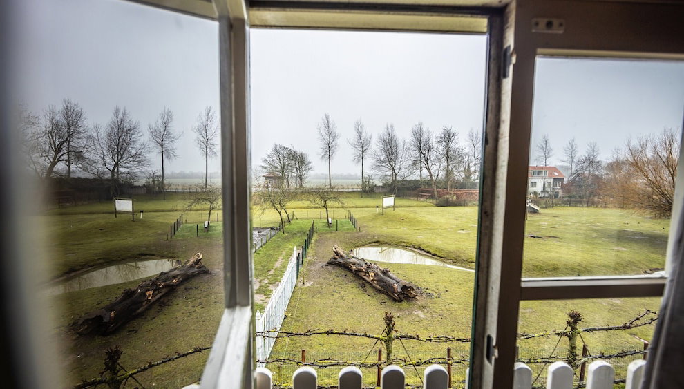 Superb Holiday Home on a Mini Campsite Near the Beach - Foto 1, Imagen principal