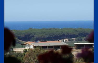 Appartamento La Collinetta - Foto 3