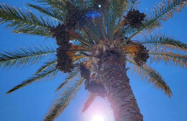 Residenza sul Mare Baia Cornino - Foto 42