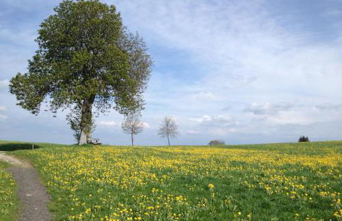 Erholsamer Traumurlaub wo auf Bergen Schlößer wachsen - Foto 21