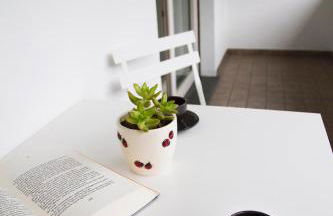 Casa Moiser - Foto 20