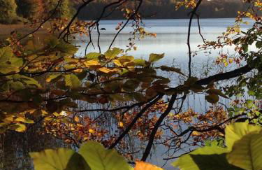 Haus am See in Kleinzerlang - Foto 5