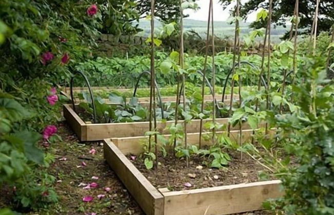 Rye Hill Farm - Foto 18