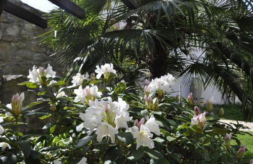 Geibelhof - Apartments in mediterraner Hofreite nahe Frankfurt am Main - Photo 110