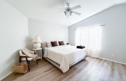 Cactus Bonito - Foto 25