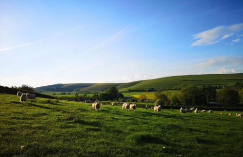 Kings Cottage - Heart of the Deverills - EV Point - Foto 34