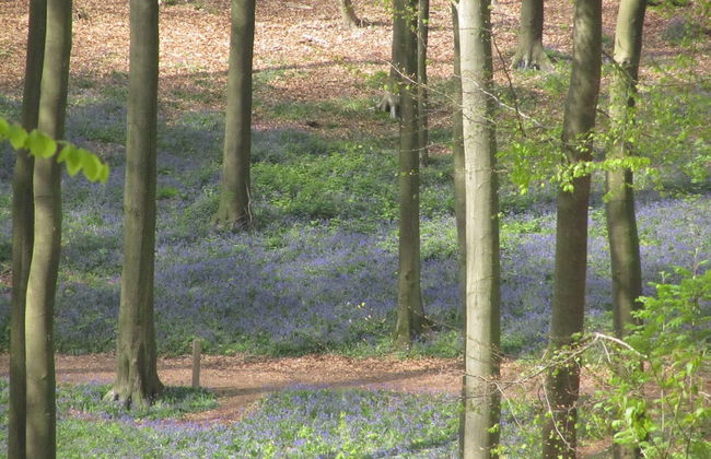 Mansion With Stunning View - Foto 38