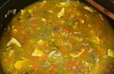 Natrural Budinjak, Zumberak - Photo 31