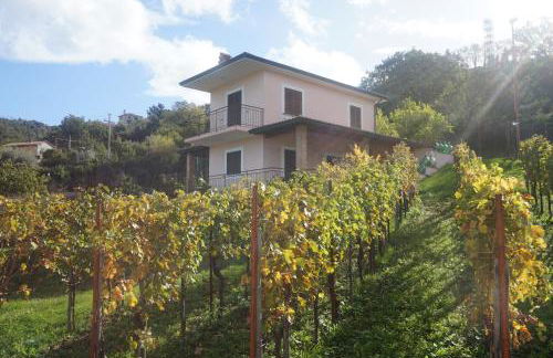 Pink House - Foto 21