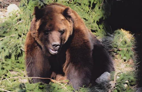 Haus Margot Armbruster - Photo 10