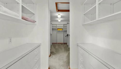 The Grey Goose - Foto 2