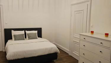 Superbe appartement 140 m2 plein centre-ville de Strasbourg - Foto 4