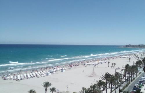 Tortuga Flat - Photo 50