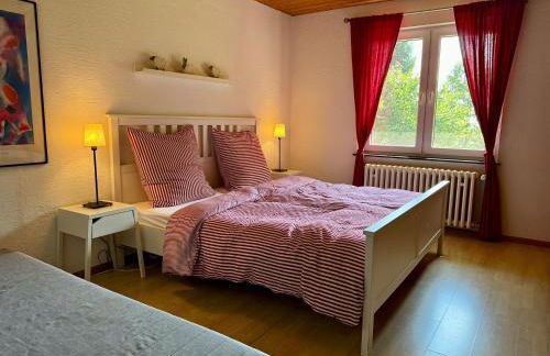 Alpenblick-Hotzenwald - Foto 33