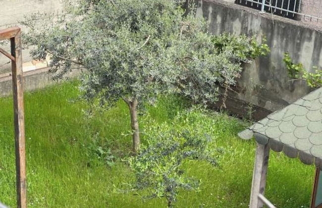 Kalpazo Tirana Vila 313 - Foto 53