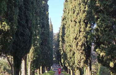 La Vite in Collina Apartment - Foto 31