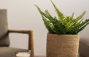 Homing Barcelona 101 - Photo 7