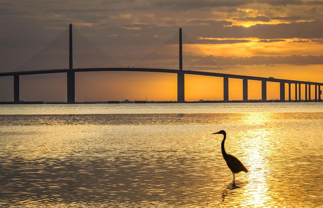 Villa on Point Brittany 5 - Foto 41